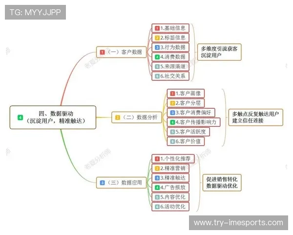 深入分析完美娱乐的市场策略与用户运营，提升品牌影响力与用户粘性